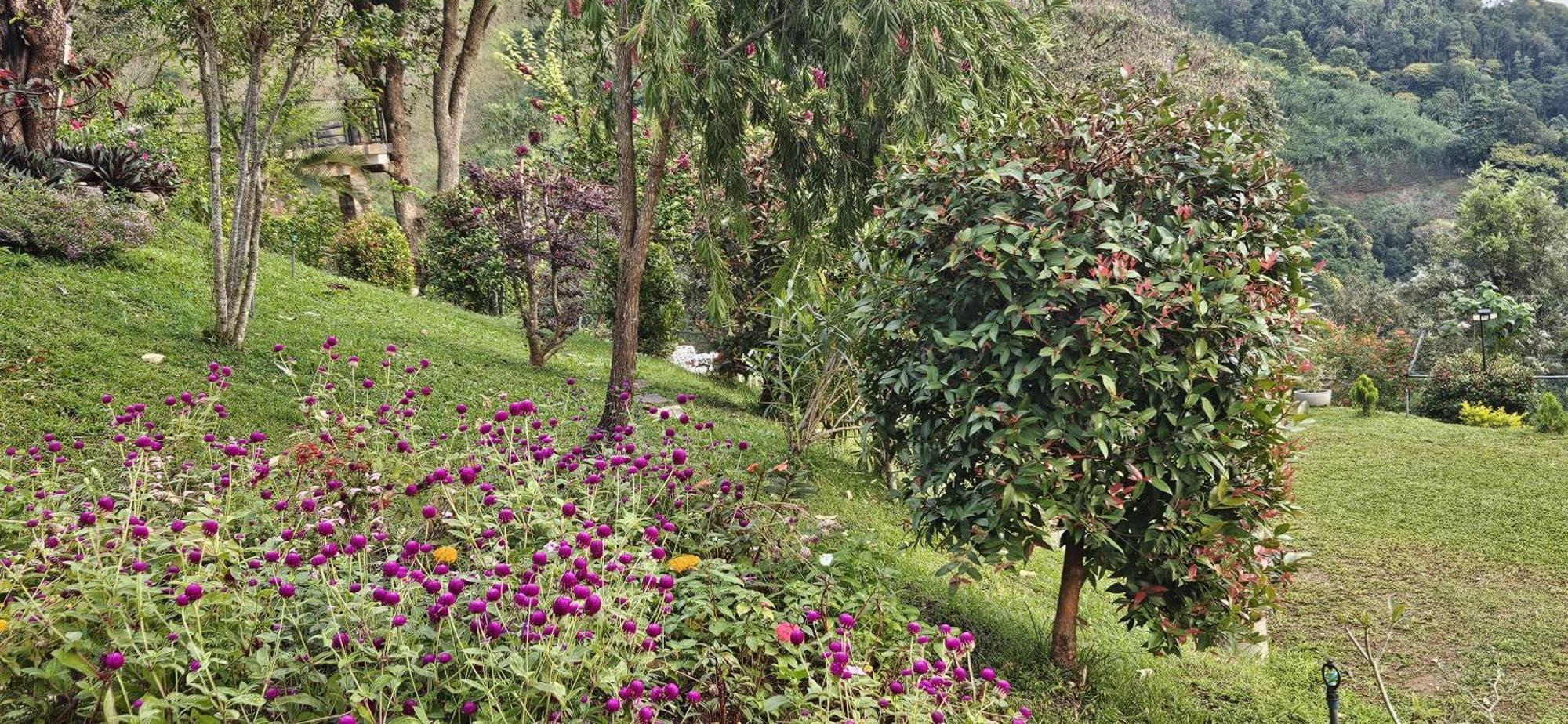 Sithara Estate Bungalow Ella Exterior foto